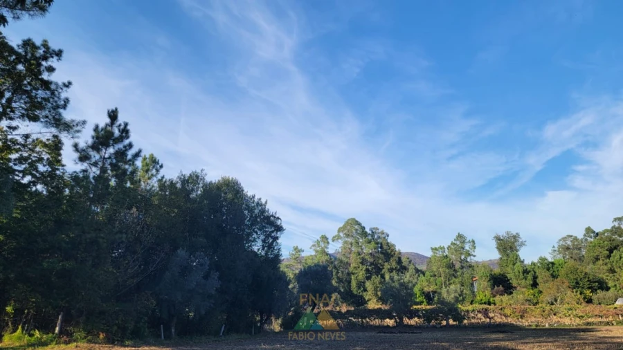 Terreno para Venda em Navió e Vitorino dos Piães Foto 5