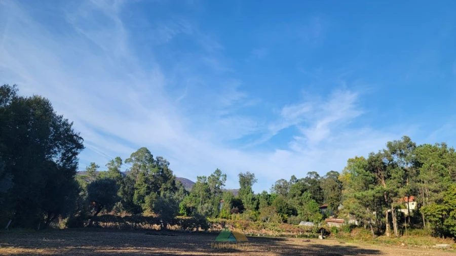 Terreno para Venda em Navió e Vitorino dos Piães Foto 6