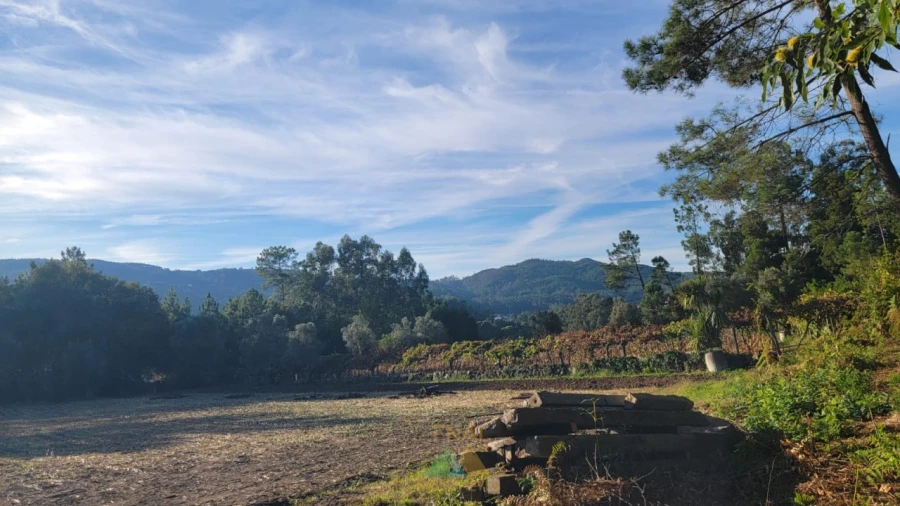 Terreno para Venda em Navió e Vitorino dos Piães Foto 8