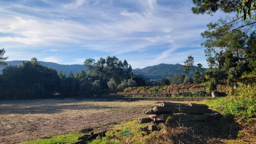 Terreno para Venda em Navió e Vitorino dos Piães Foto 13