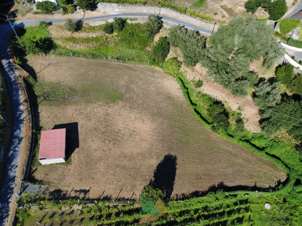 Terreno para Venda em Souto e Tabaçô Foto 8