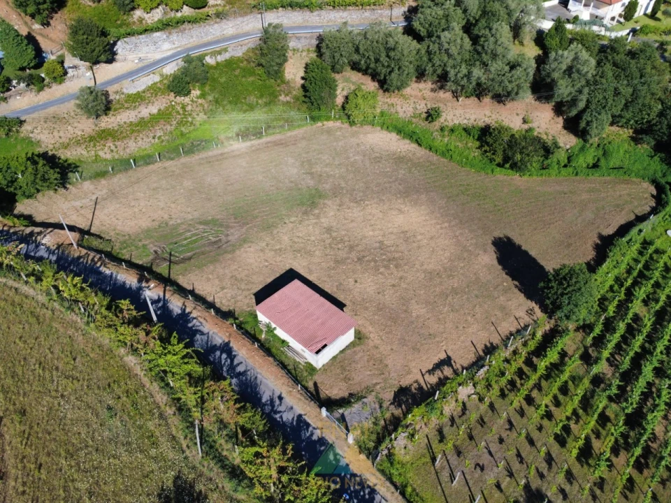 Terreno para Venda em Souto e Tabaçô Foto 9