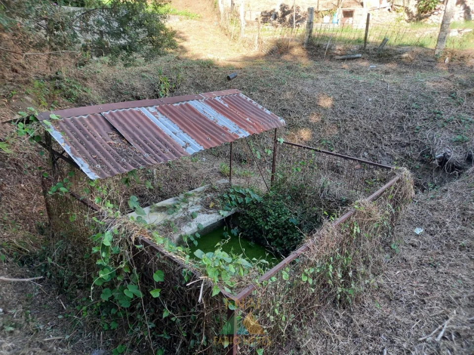 Terreno para Venda em Souto e Tabaçô Foto 15