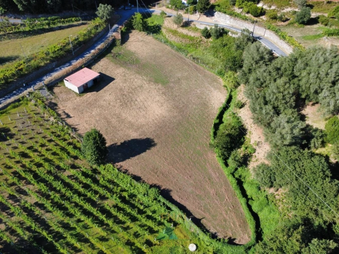 Terreno para Venda em Souto e Tabaçô Foto 6