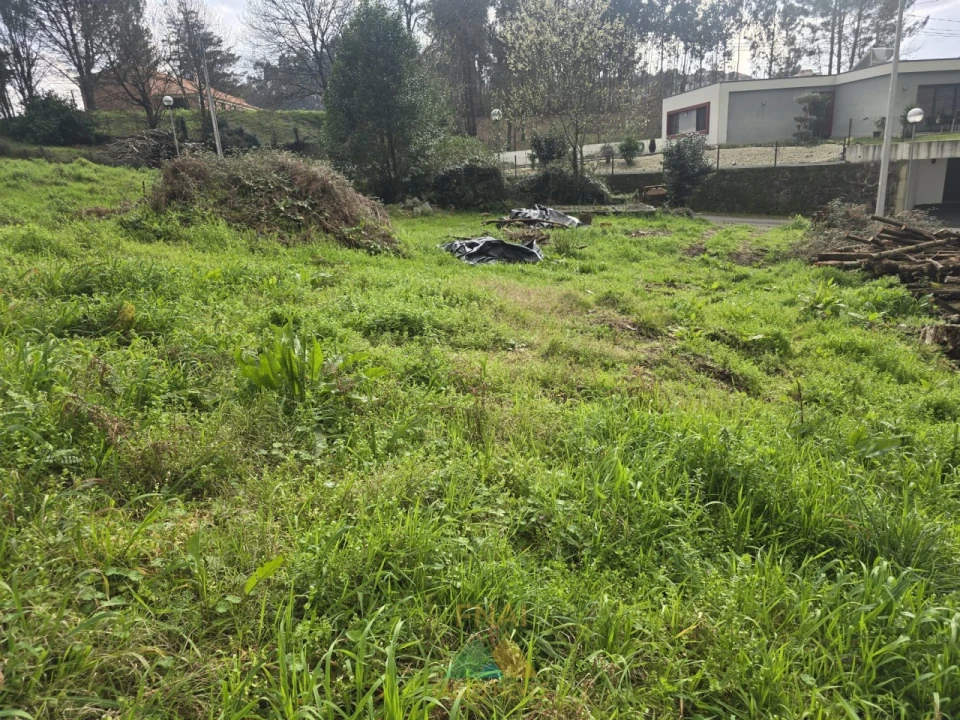 Terreno para Venda em Souto e Tabaçô Foto 9