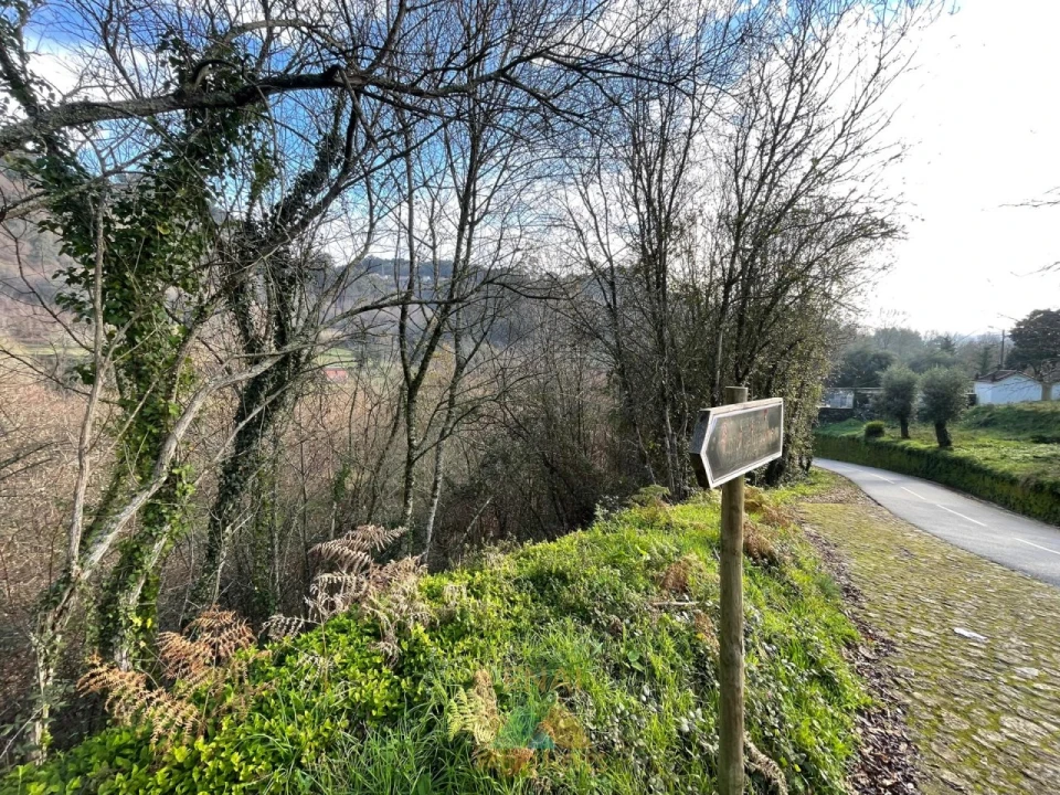 Terreno para Venda em Jolda (Madalena) e Rio Cabrão Foto 5