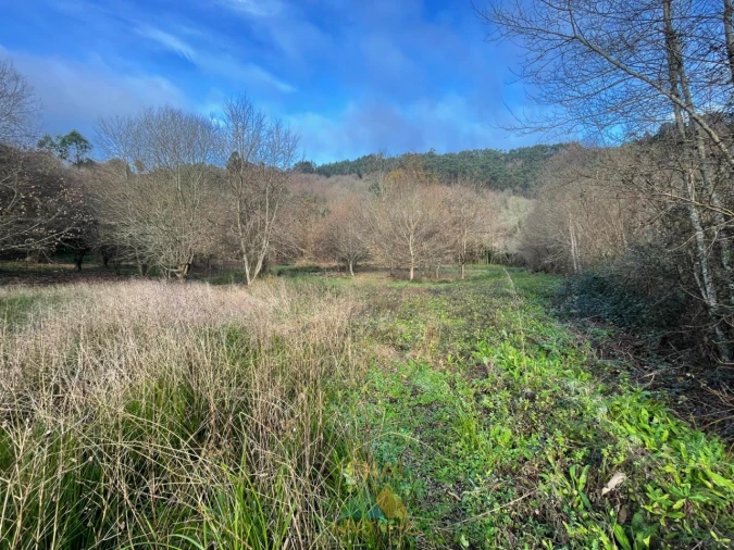 Terreno para Venda em Jolda (Madalena) e Rio Cabrão Foto 3