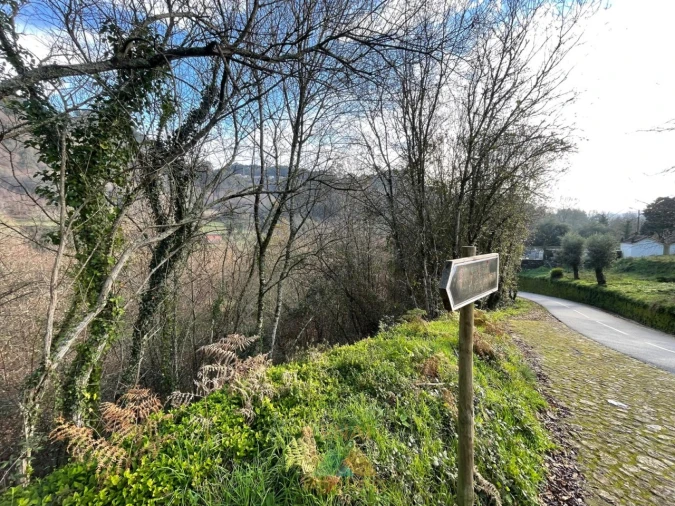 Terreno para Venda em Jolda (Madalena) e Rio Cabrão Foto 5