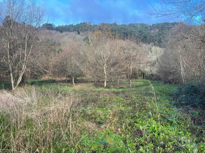 Terreno para Venda em Jolda (Madalena) e Rio Cabrão Foto 8
