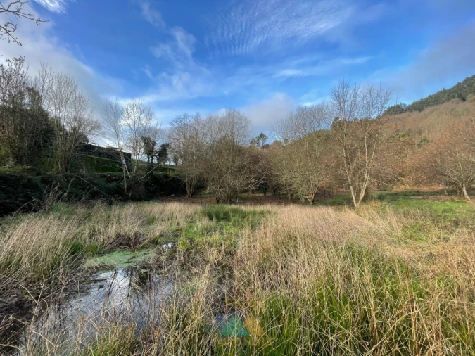 Terreno para Venda em Jolda (Madalena) e Rio Cabrão Foto 10