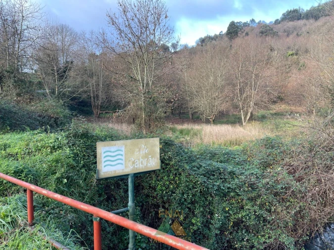 Terreno para Venda em Jolda (Madalena) e Rio Cabrão Foto 14