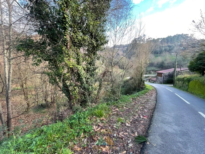 Terreno para Venda em Jolda (Madalena) e Rio Cabrão Foto 19