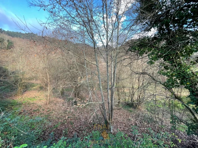 Terreno para Venda em Jolda (Madalena) e Rio Cabrão Foto 20