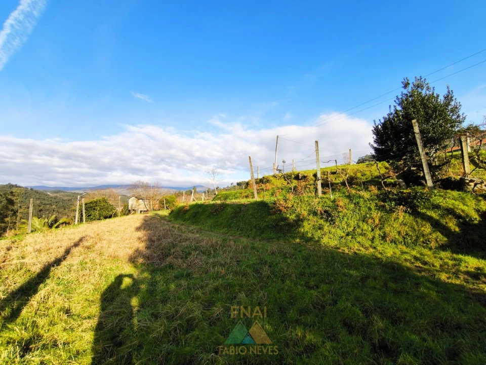 Terreno para Venda em Azere Foto 8