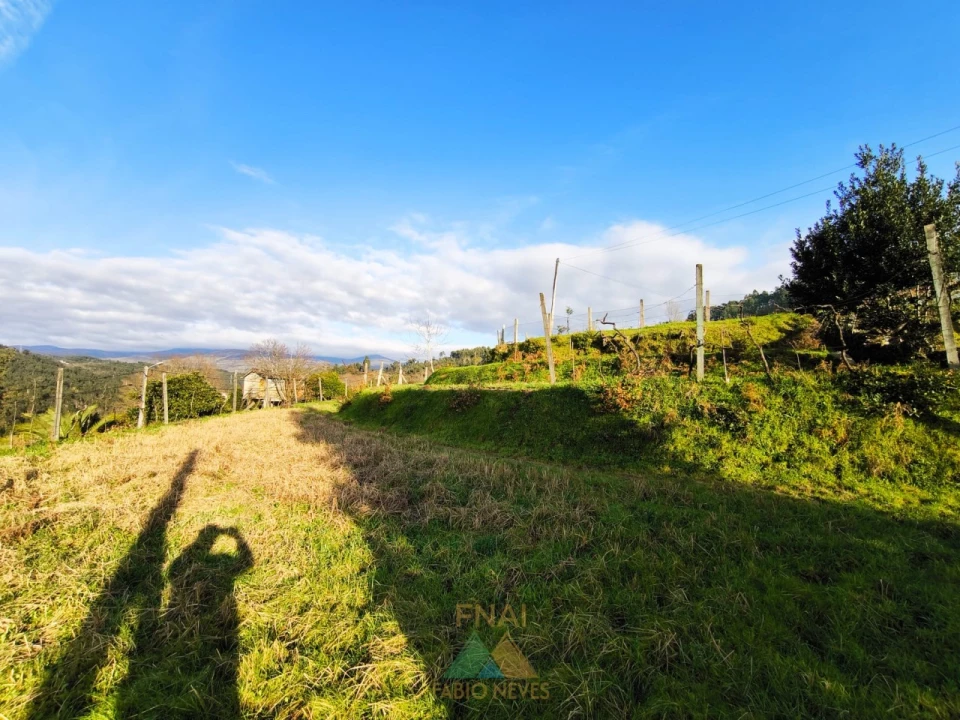 Terreno para Venda em Azere Foto 10