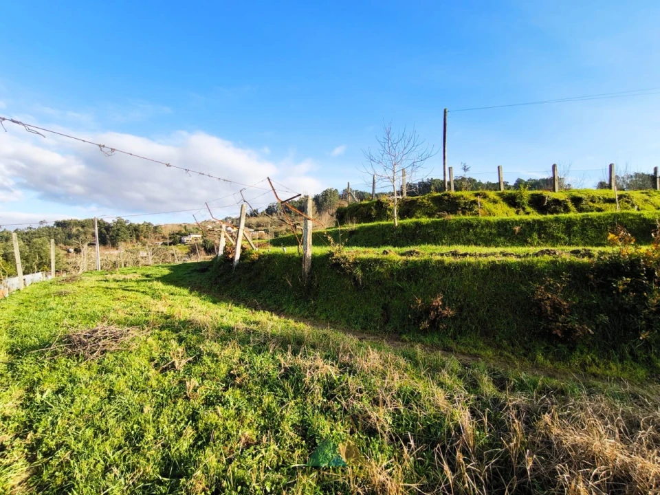 Terreno para Venda em Azere Foto 12