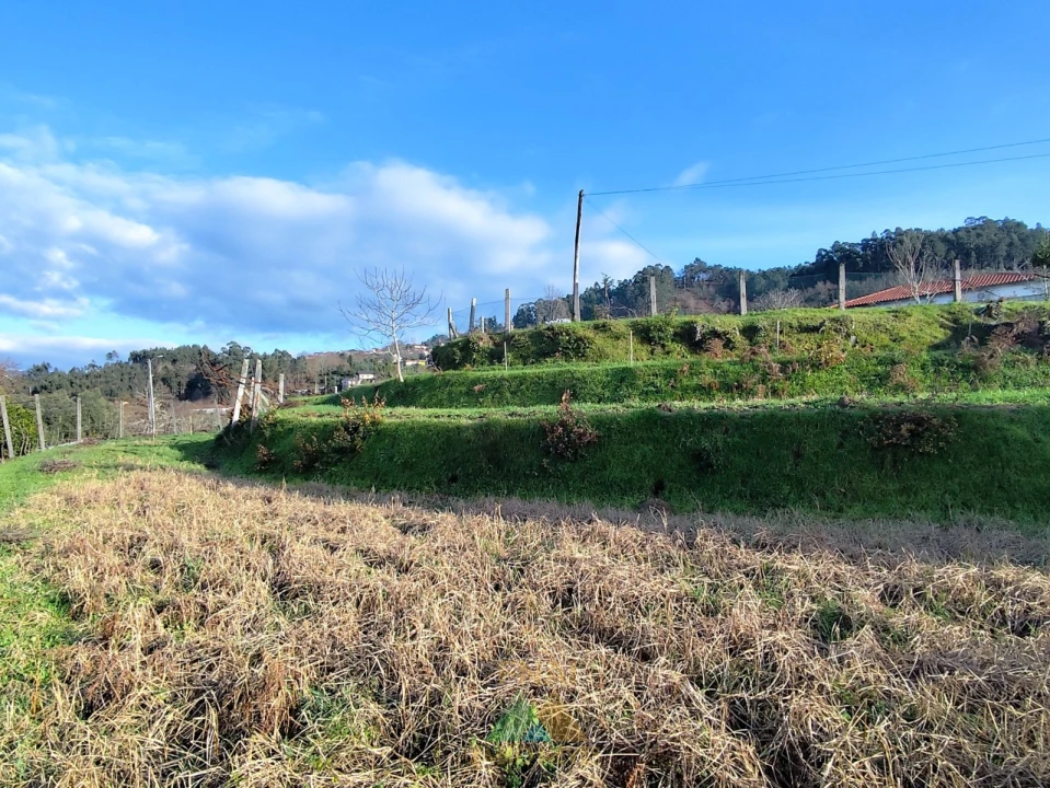 Terreno para Venda em Azere Foto 18