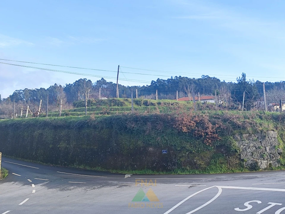 Terreno para Venda em Azere Foto 19