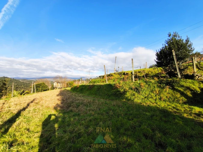 Terreno para Venda em Azere Foto 8