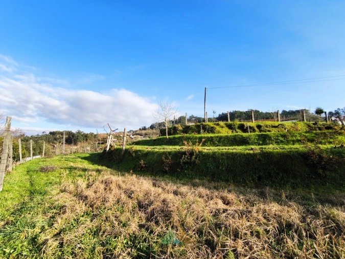 Terreno para Venda em Azere Foto 1