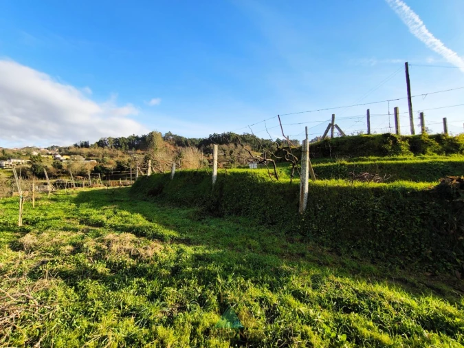 Terreno para Venda em Azere Foto 14