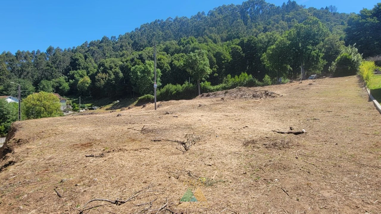 Terreno para Venda em Sa Foto 1