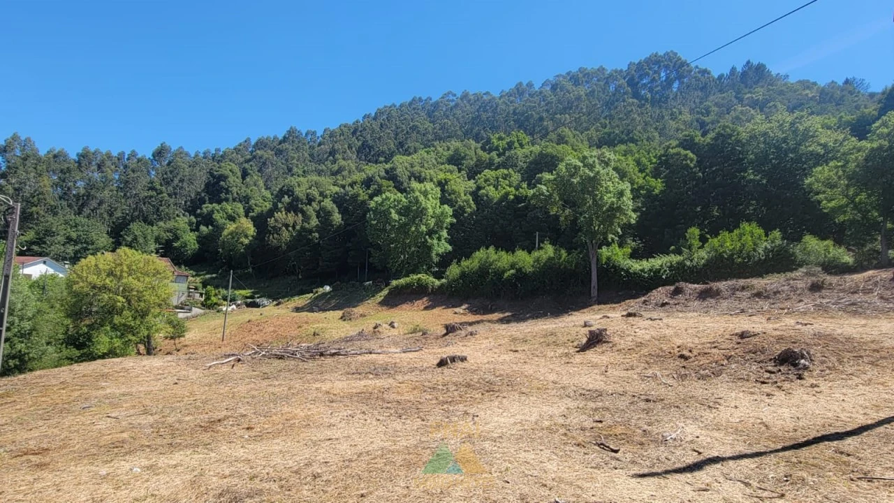 Terreno para Venda em Sa Foto 4