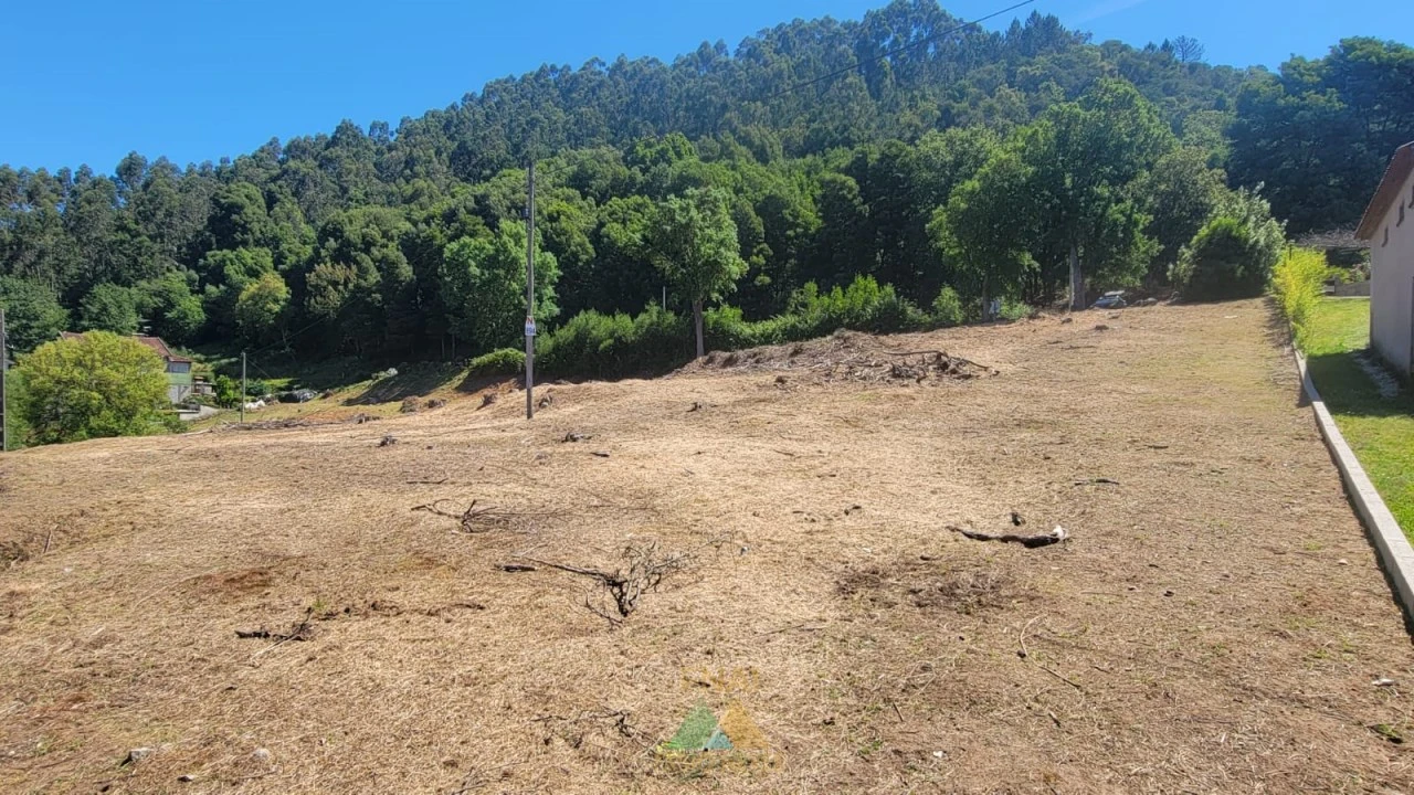 Terreno para Venda em Sa Foto 8