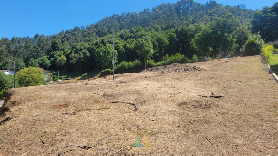 Terreno para Venda em Sa