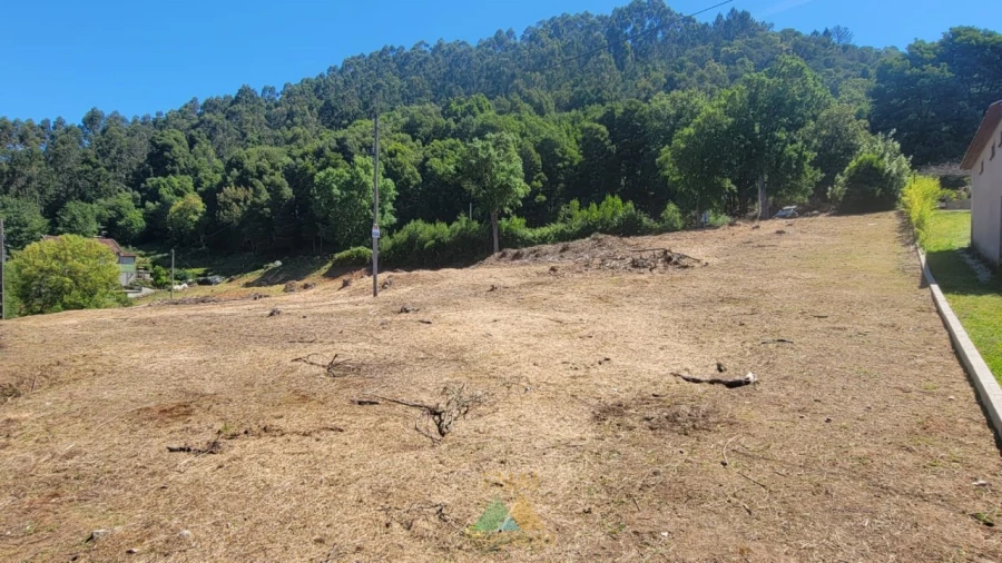 Terreno para Venda em Sa Foto 8