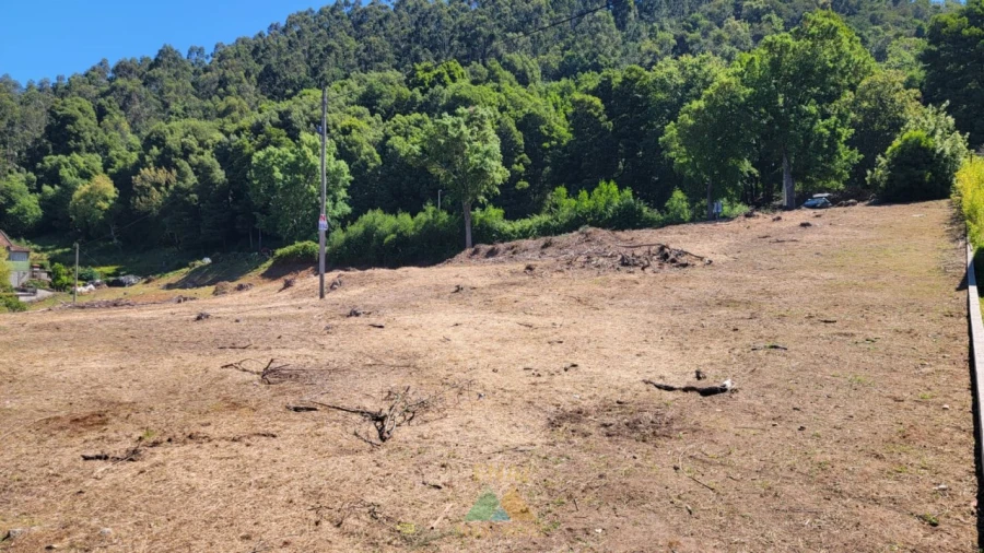 Terreno para Venda em Sa Foto 10