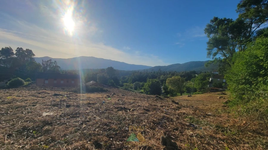 Terreno para Venda em Sa Foto 11