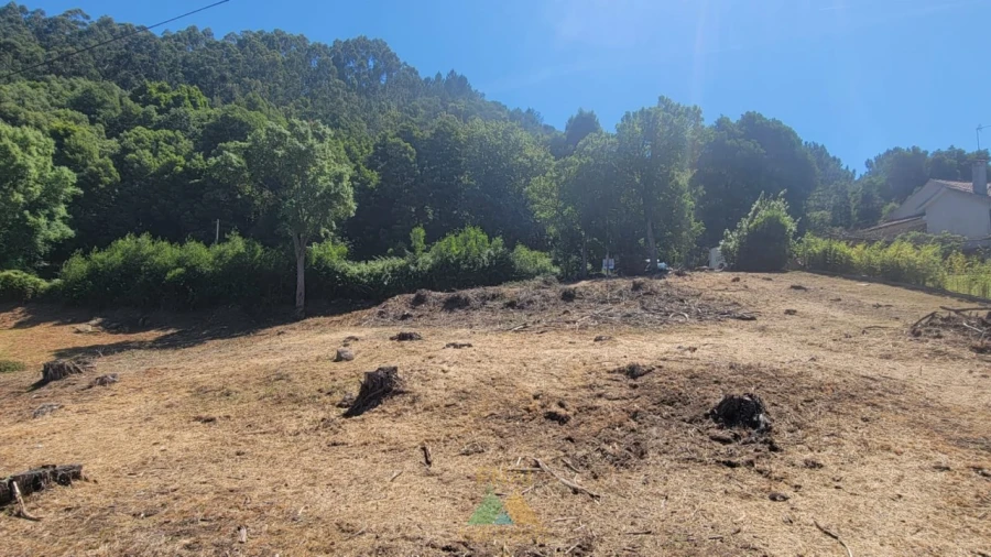 Terreno para Venda em Sa Foto 12