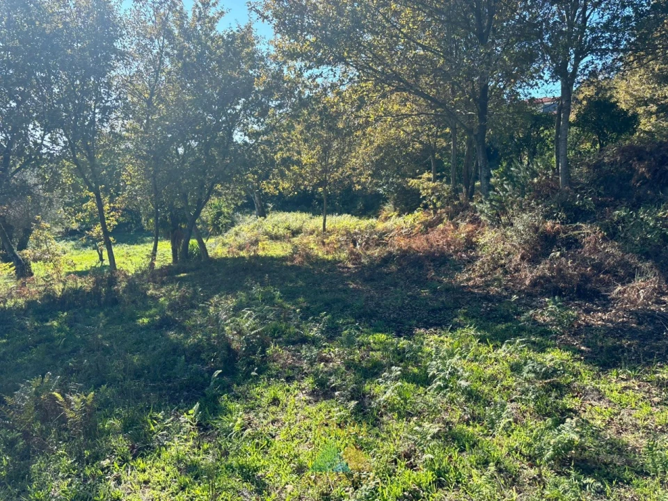 Terreno para Venda em Vila Verde e Barbudo Foto 4