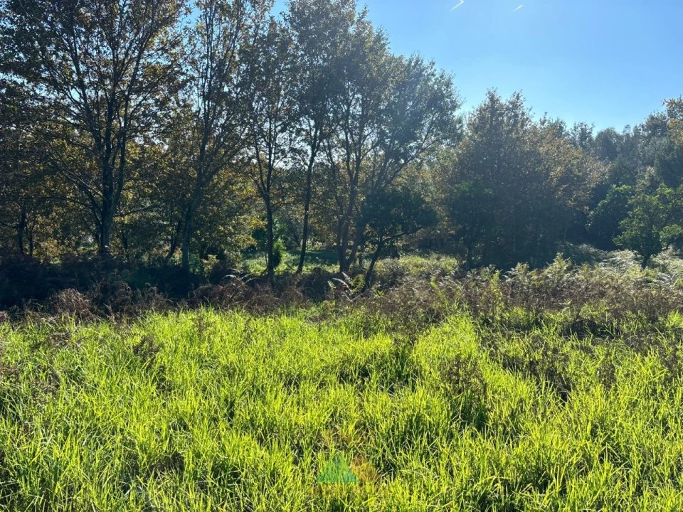 Terreno para Venda em Vila Verde e Barbudo Foto 7