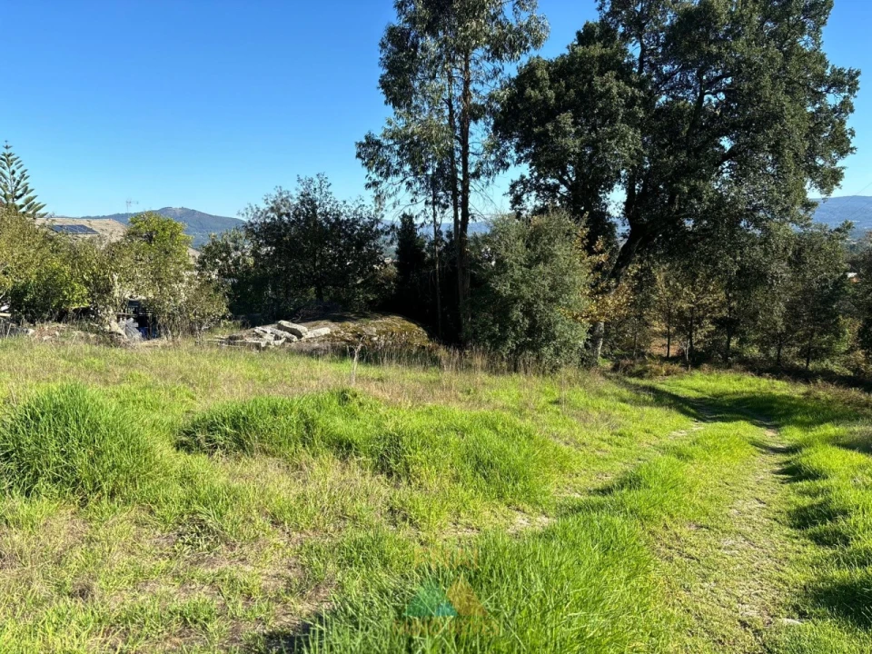Terreno para Venda em Vila Verde e Barbudo Foto 8