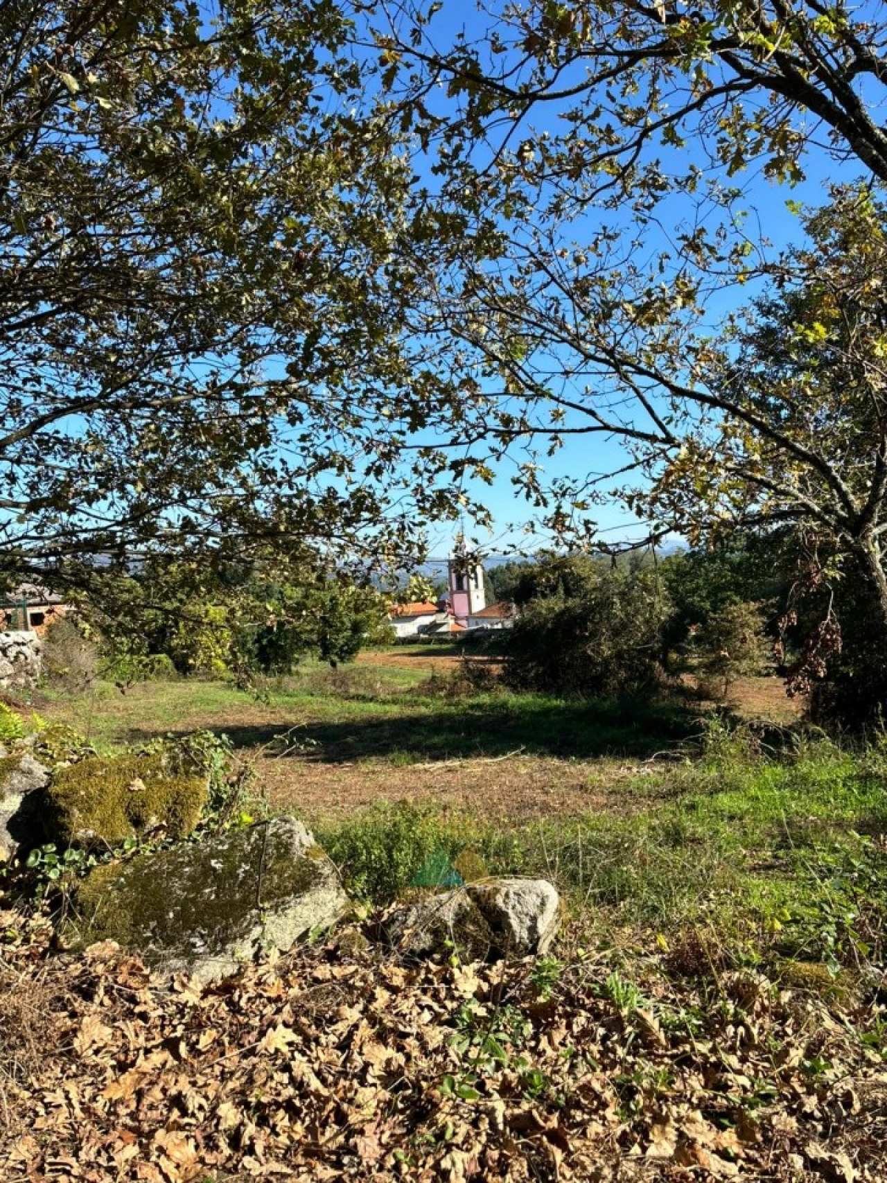 Terreno para Venda em Vila Verde e Barbudo Foto 9
