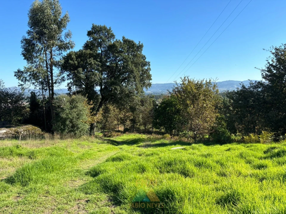 Terreno para Venda em Vila Verde e Barbudo Foto 14