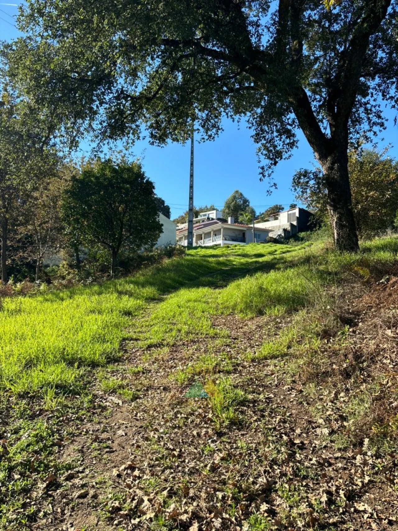 Terreno para Venda em Vila Verde e Barbudo Foto 19