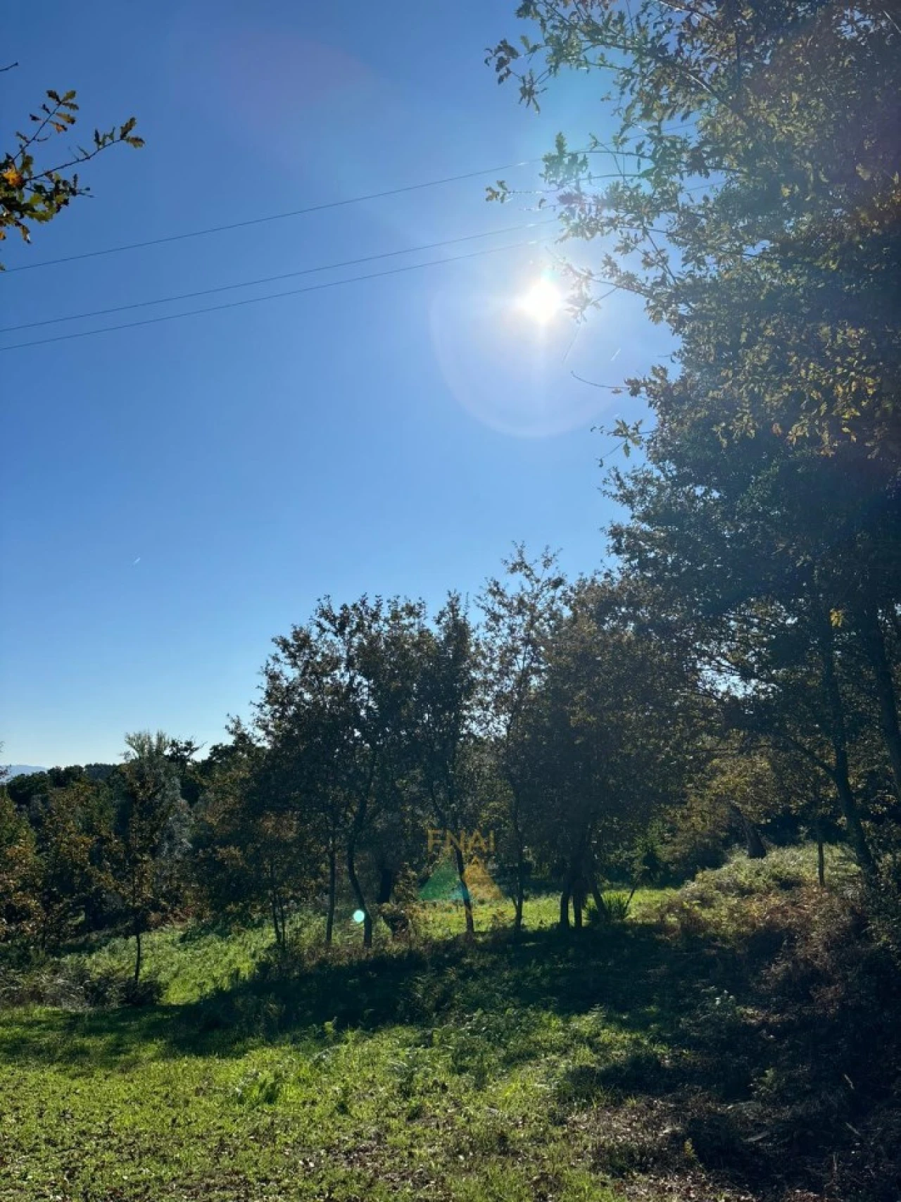 Terreno para Venda em Vila Verde e Barbudo Foto 27
