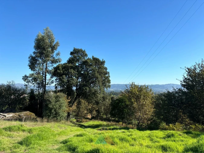 Terreno para Venda em Vila Verde e Barbudo Foto 3