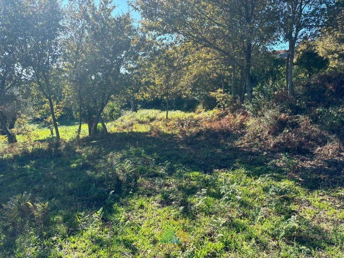 Terreno para Venda em Vila Verde e Barbudo Foto 4