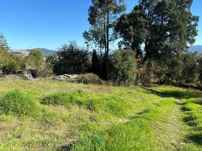 Terreno para Venda em Vila Verde e Barbudo Foto 8