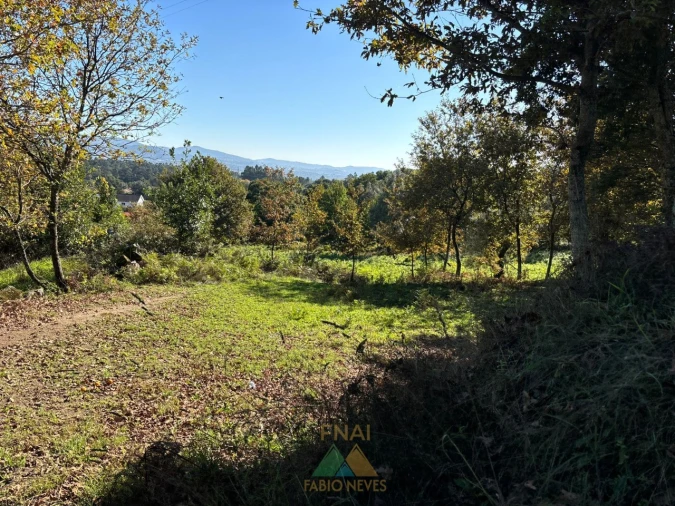 Terreno para Venda em Vila Verde e Barbudo Foto 11