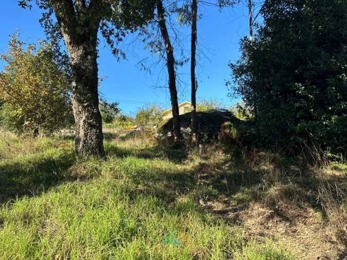 Terreno para Venda em Vila Verde e Barbudo Foto 13