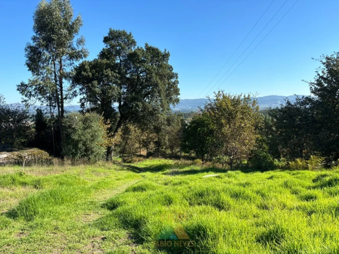 Terreno para Venda em Vila Verde e Barbudo Foto 14