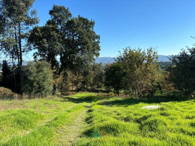 Terreno para Venda em Vila Verde e Barbudo Foto 15