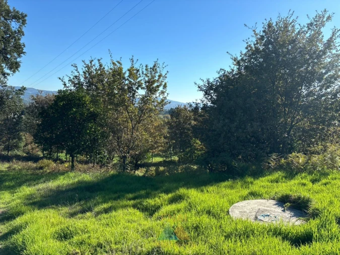 Terreno para Venda em Vila Verde e Barbudo Foto 16