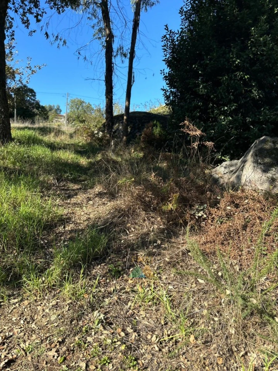 Terreno para Venda em Vila Verde e Barbudo Foto 18