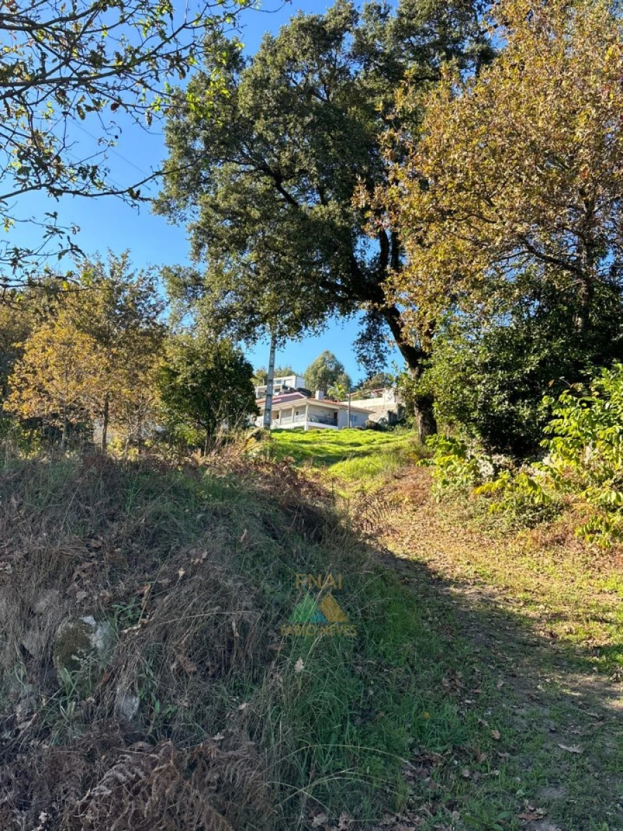 Terreno para Venda em Vila Verde e Barbudo Foto 21